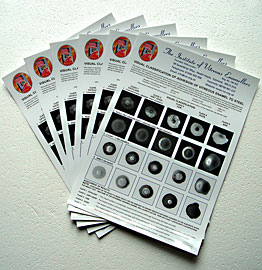 Image: Adhesion Standards Publication - published by the IVE